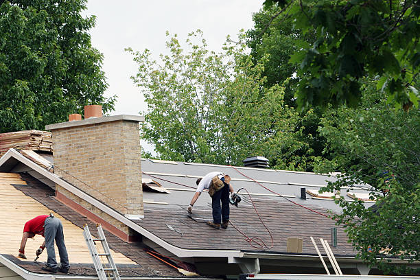 Best Shingle Roofing Installation  in Brooklet, GA
