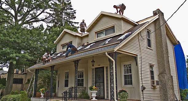 Best Metal Roofing Contractor  in Brooklet, GA