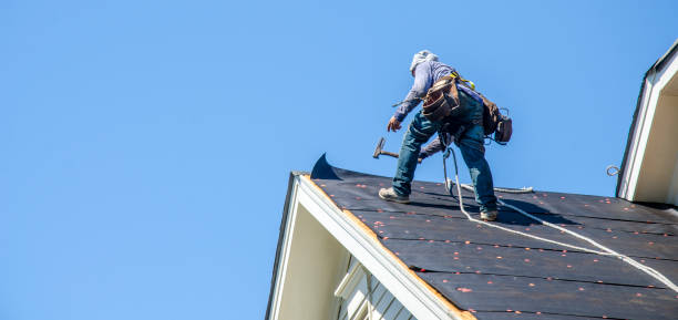 Best Metal Roofing Contractor  in Brooklet, GA